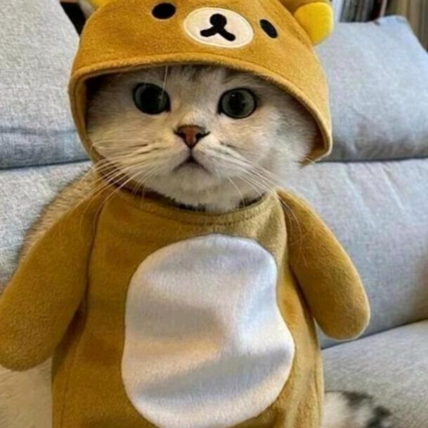 转身已陌路