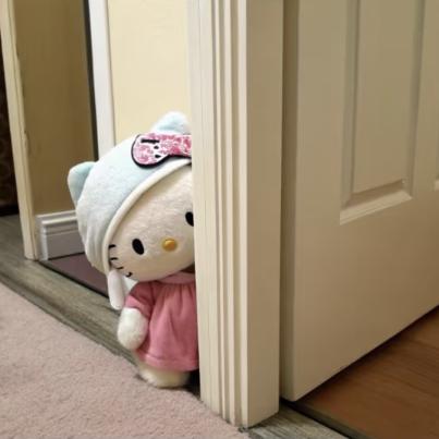 小羊日记📷（发财版）