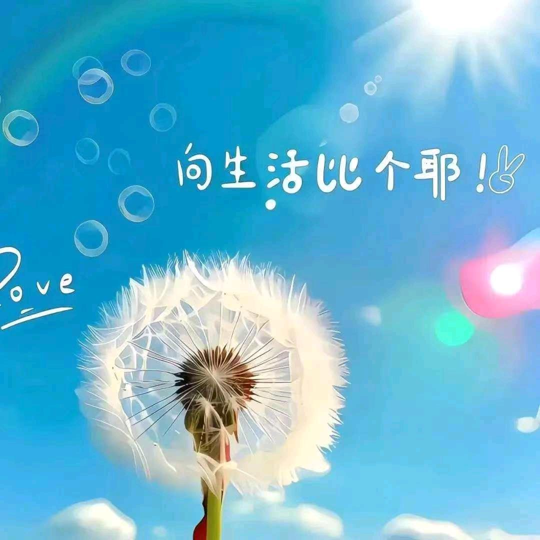 福竹（玉竹&水滴）