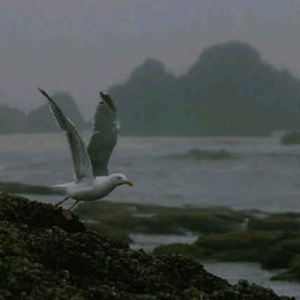 千山之上.