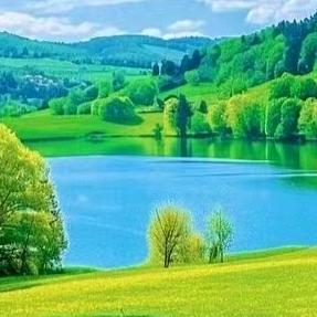 沙溪中通快递网点