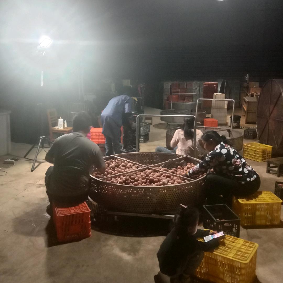 小丁粽香烤鸭蛋,活珠子...