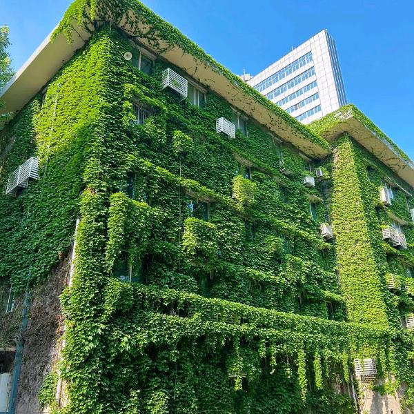 ╮(╯_╰)╭无所谓╮(╯_╰)╭