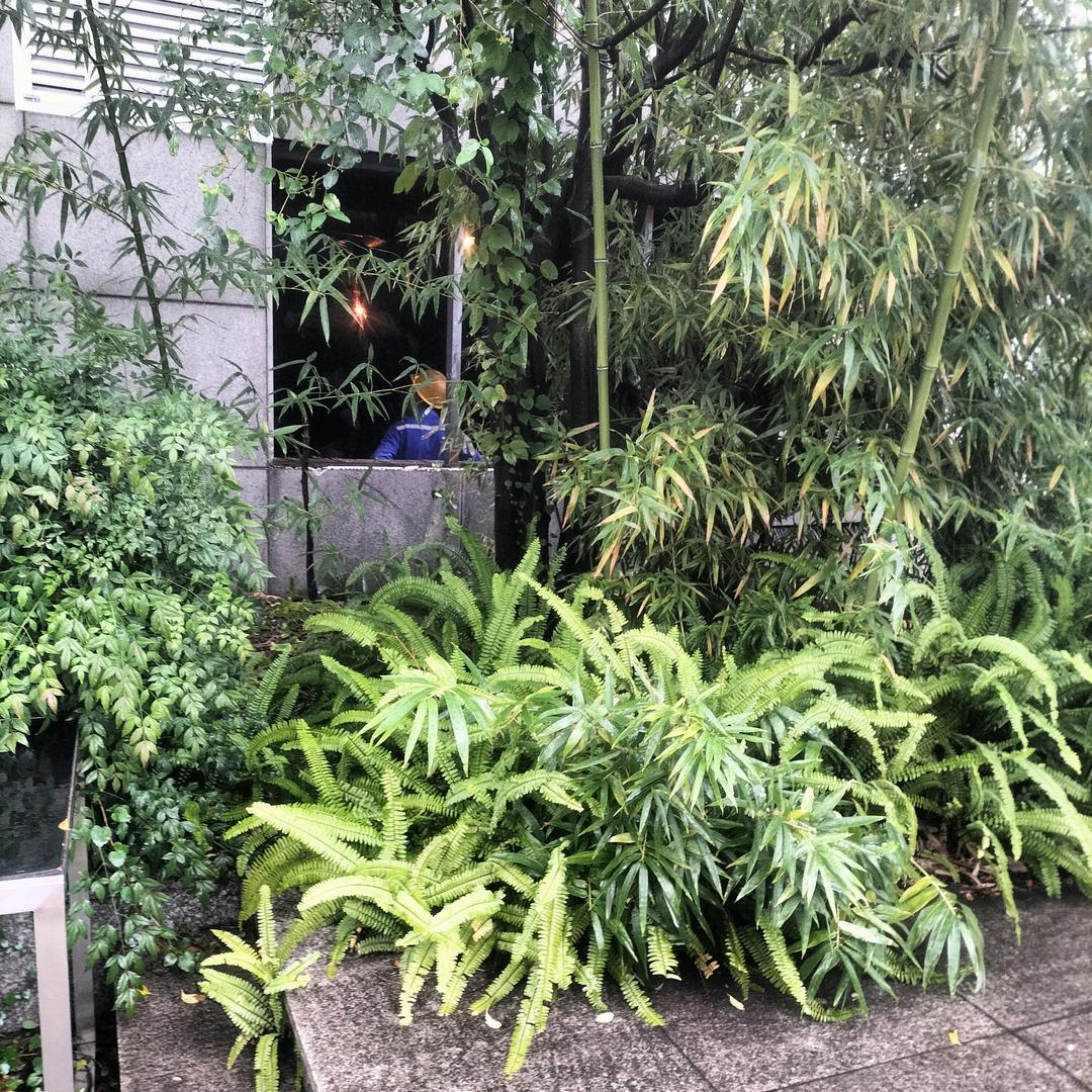 专业拆除