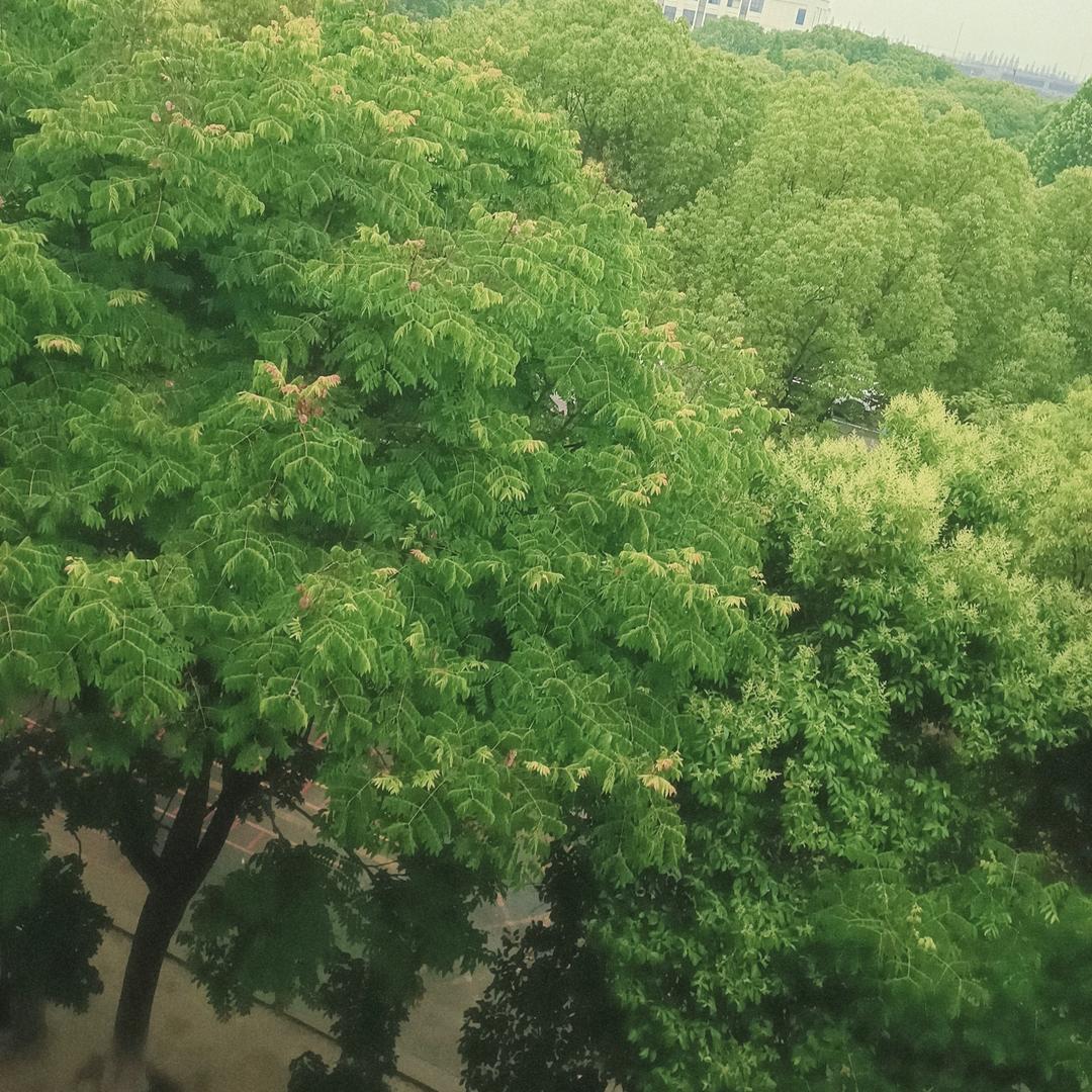 喝喝