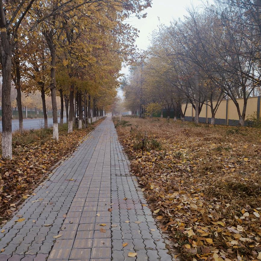 驿站小妹