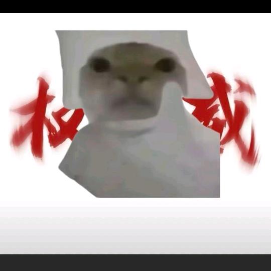 赵墩墩