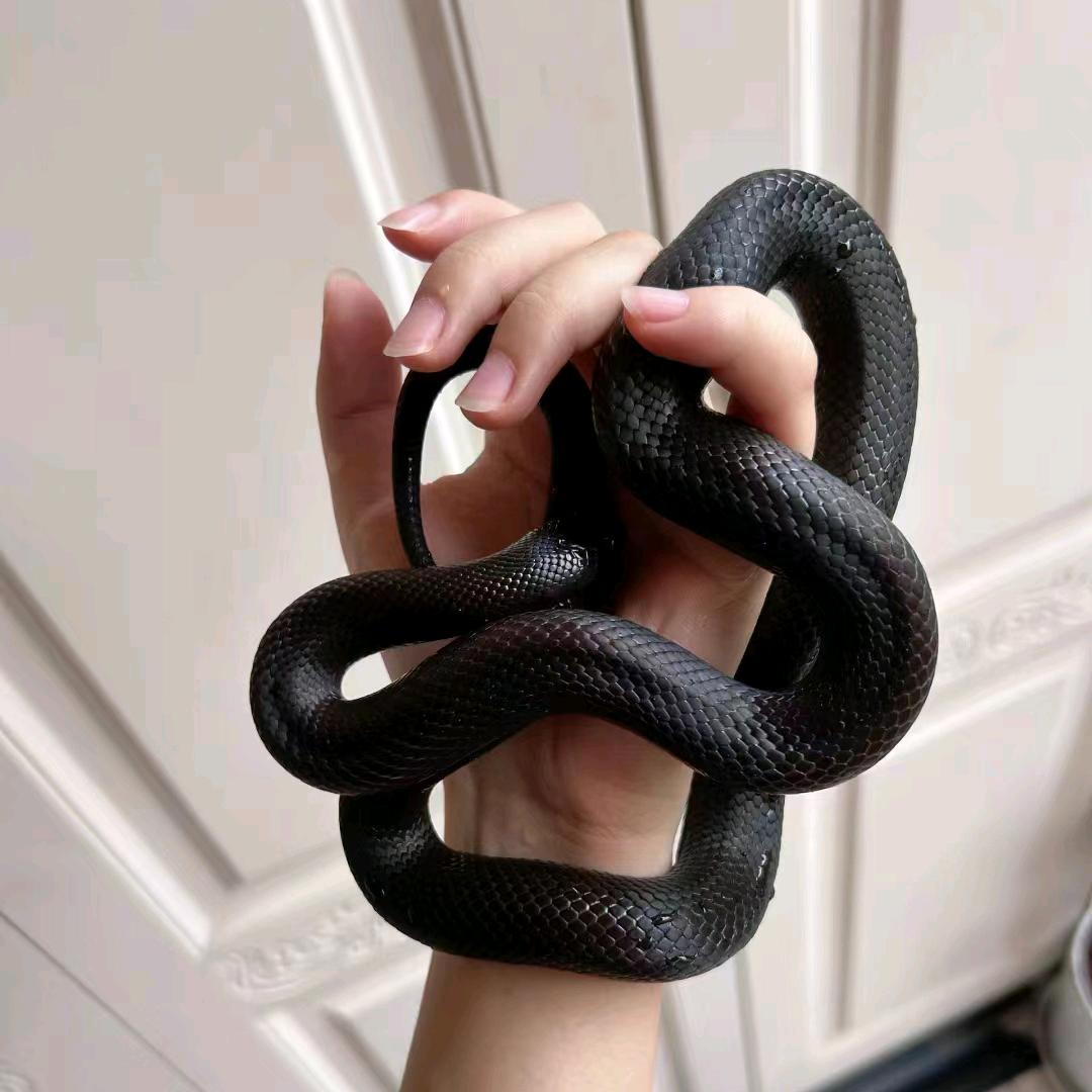 叮