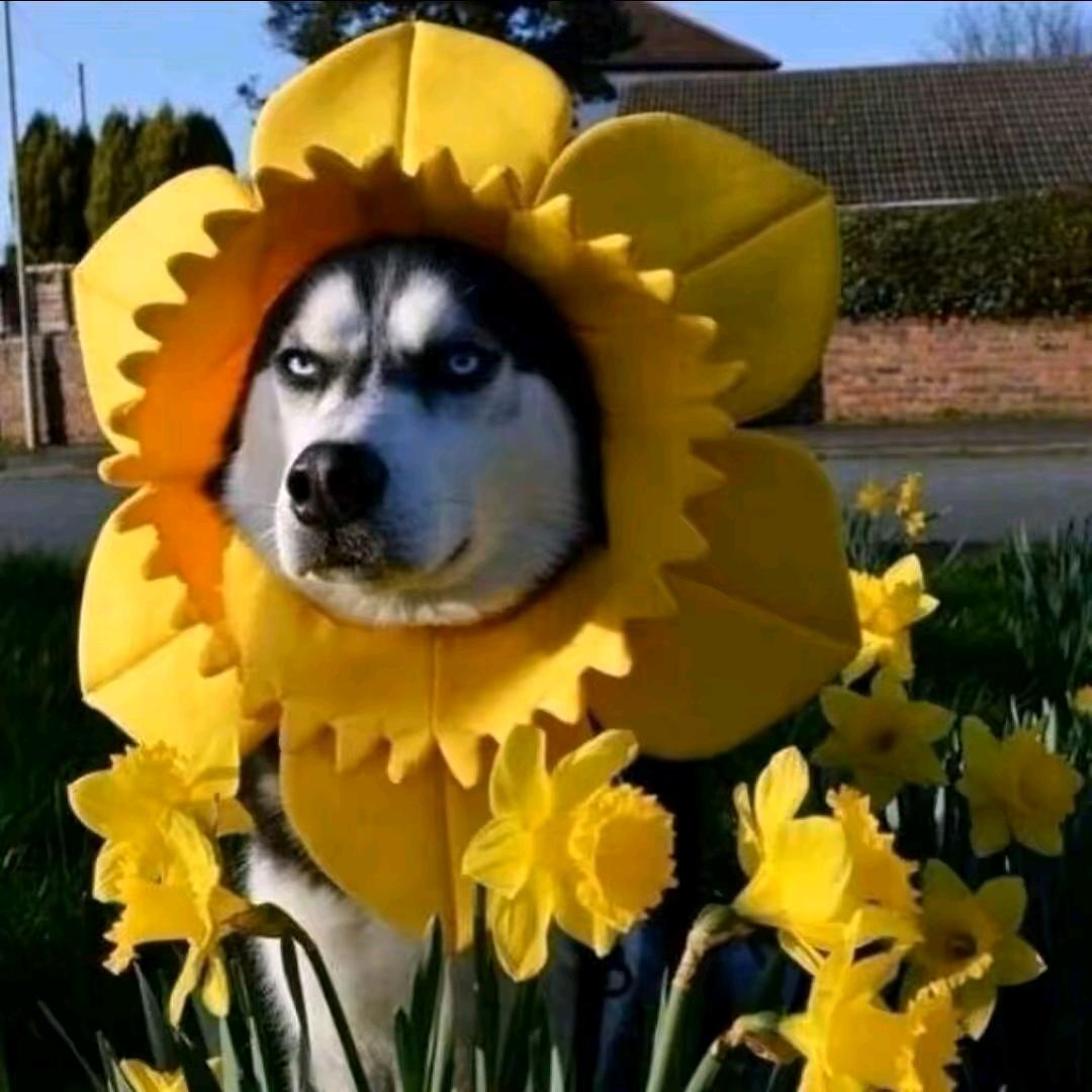 独坐凉亭浅唱星座书上～