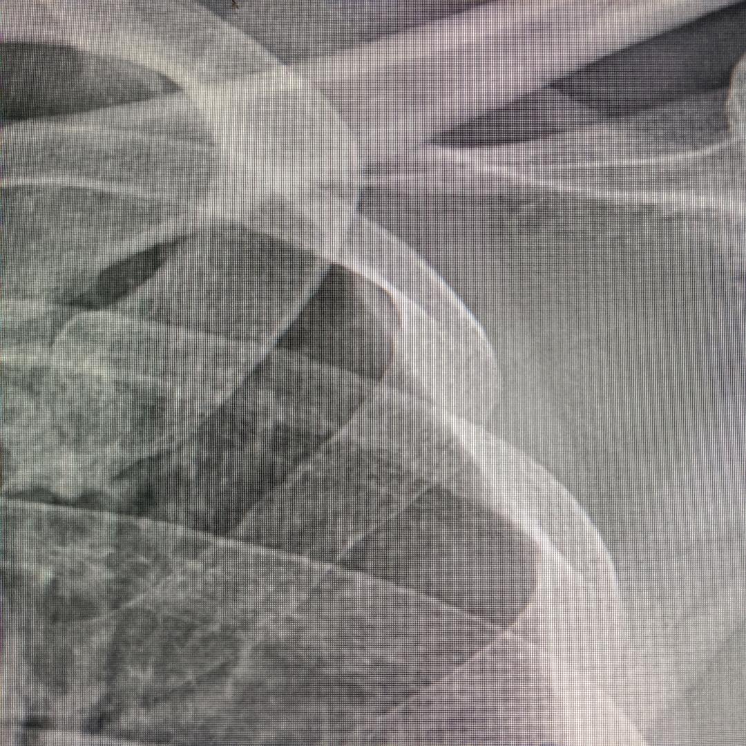 我没票，(づ￣3￣)づ╭❤～不要理我