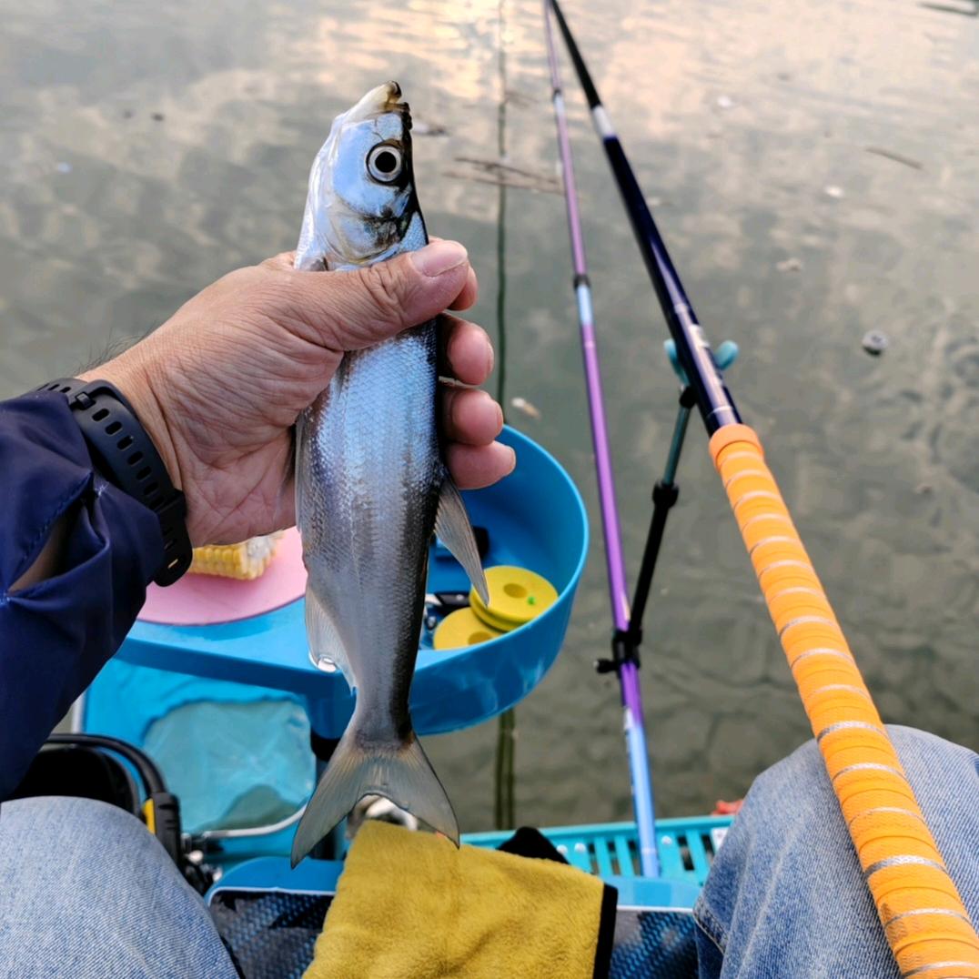 旬阳市关口镇小龚电器店