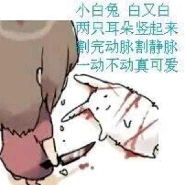 玉兰花开满世界