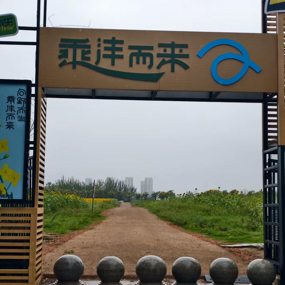 一路向阳