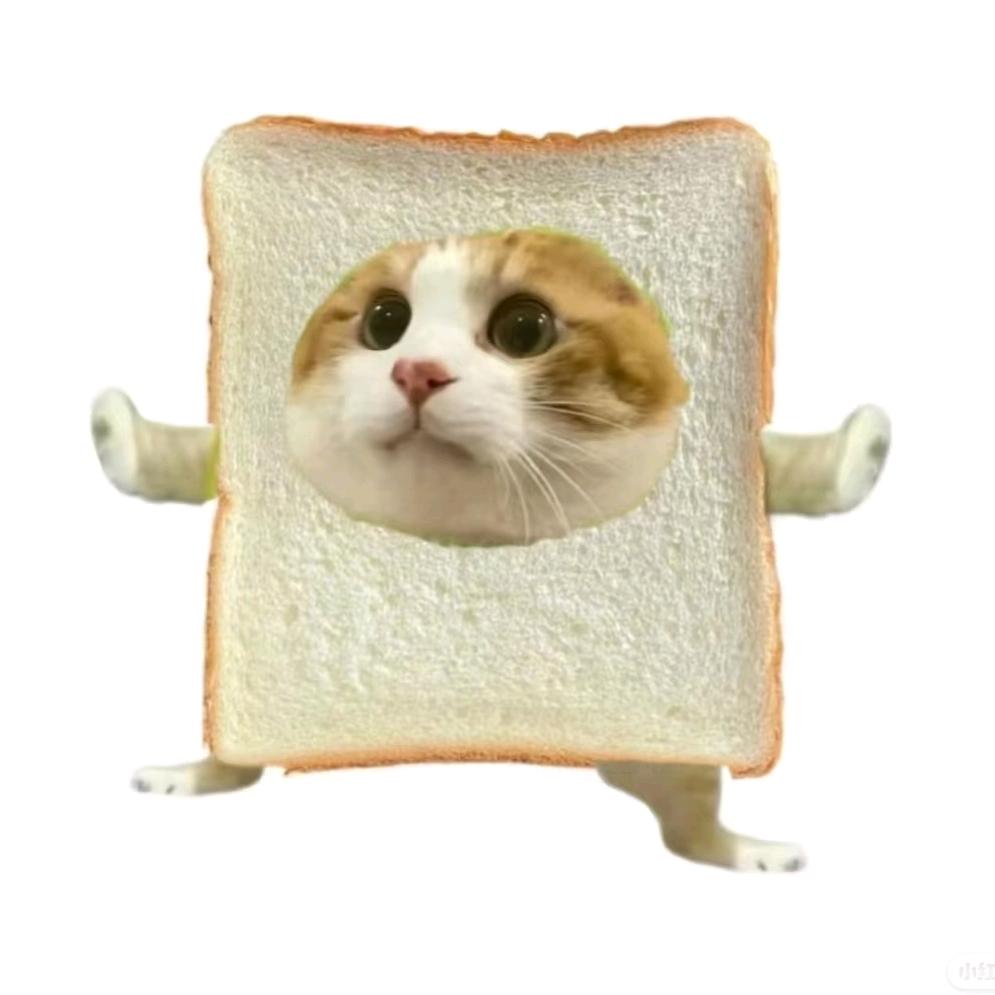开心猫meme小剧场
