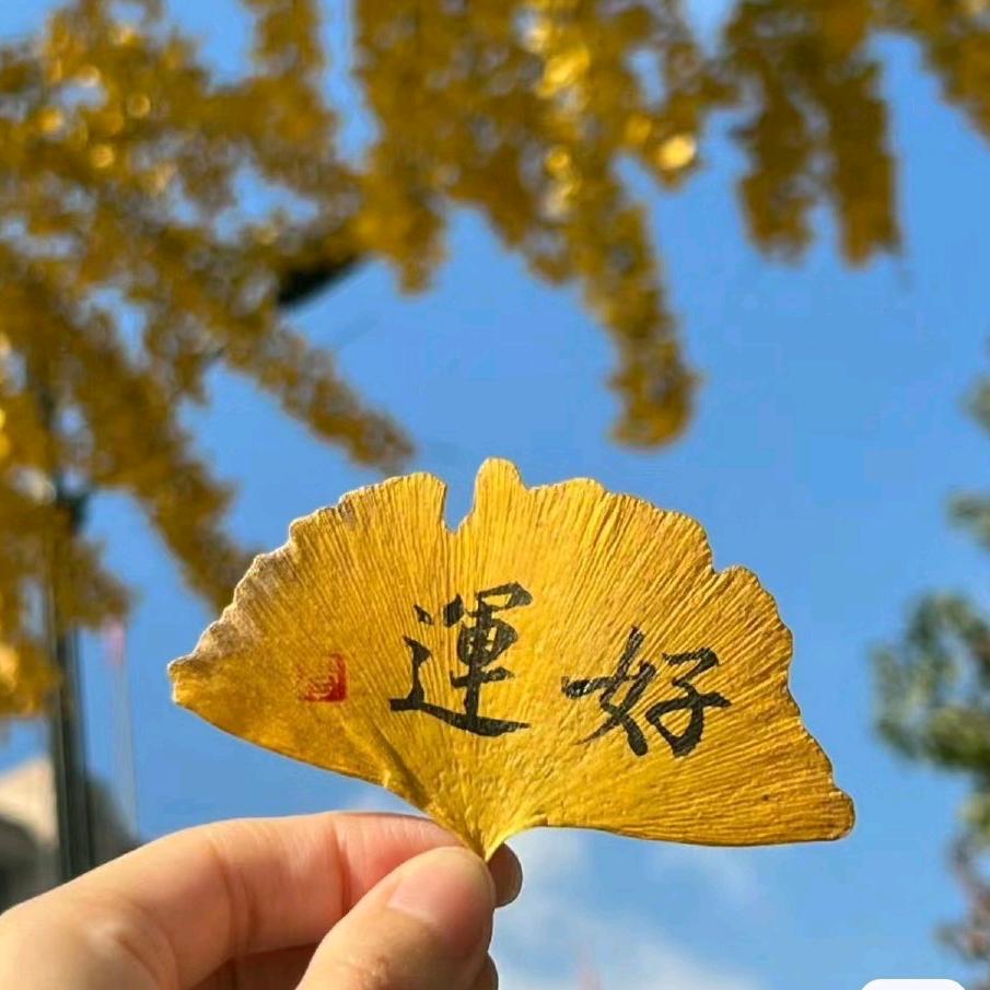 麻将思维提升