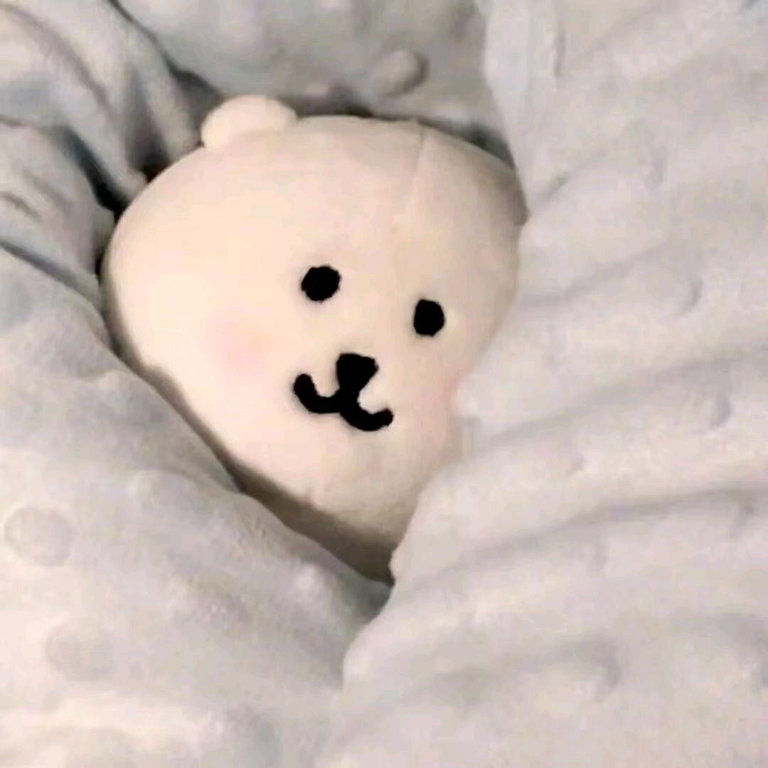 小淳淳猪