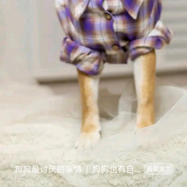 来的