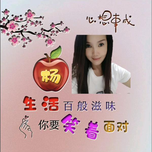 我的执着、你敷衍不起