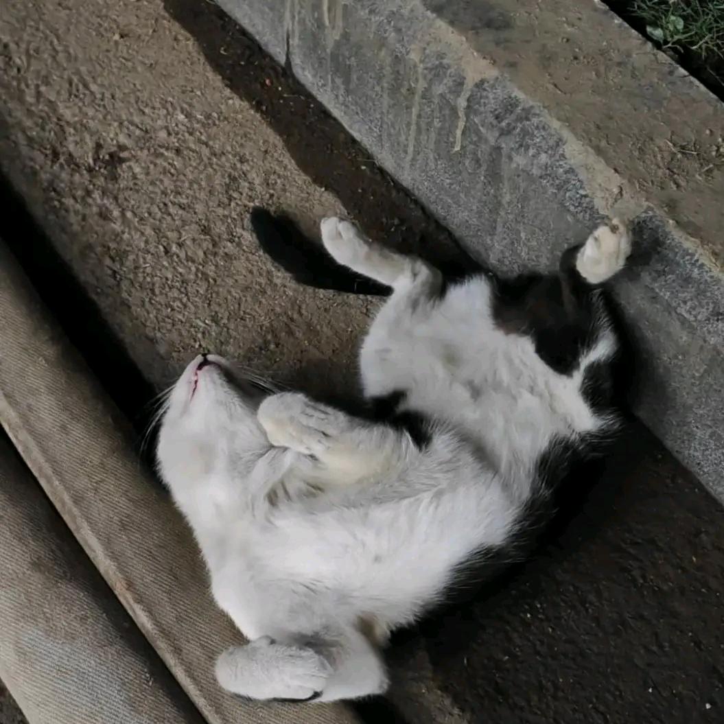 伟锐
