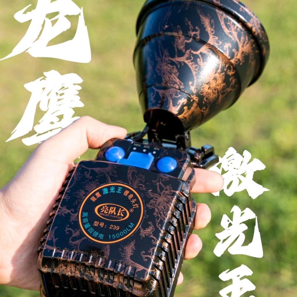大鹏