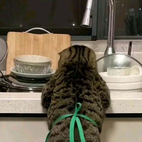 时光不老。