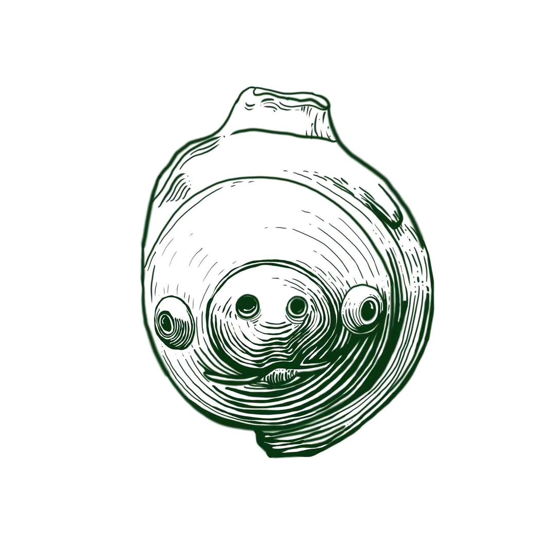 十华