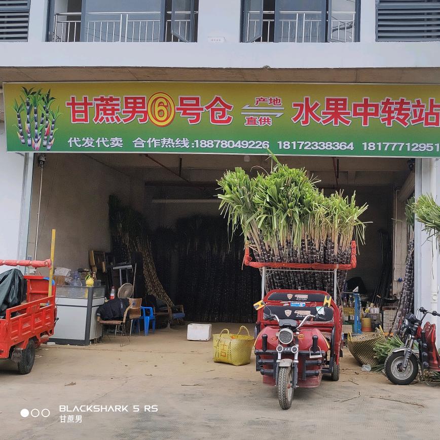 甘蔗男水果生鲜店