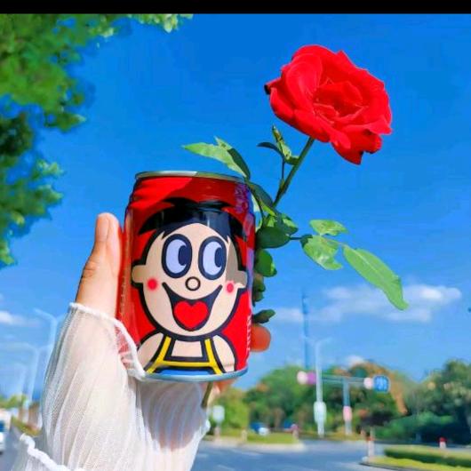 皇家加勒比花裤衩好看☢🦂