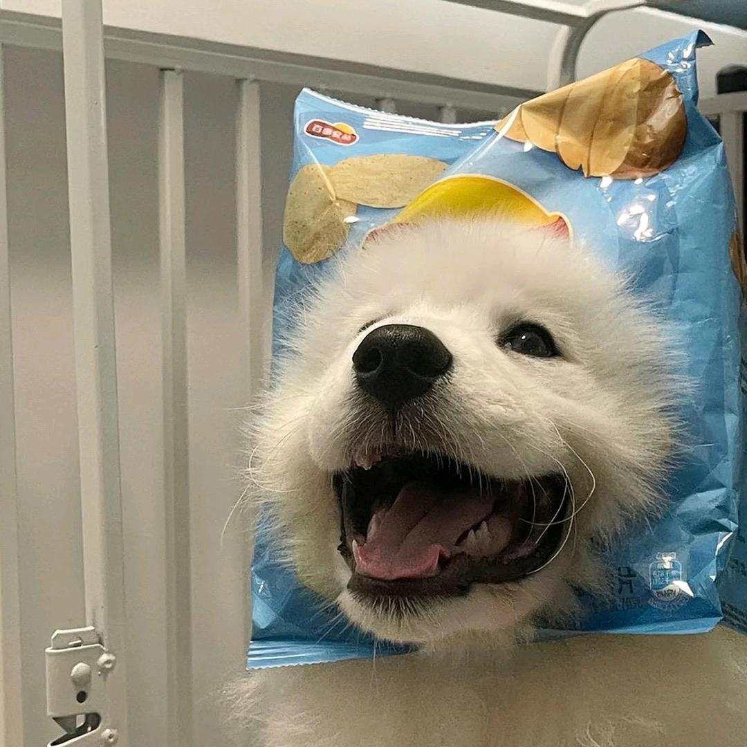 没 头 脑  (๑•̌.•̑๑)ˀ̣ˀ̣