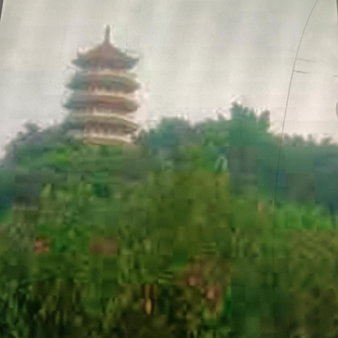 风雨无阻