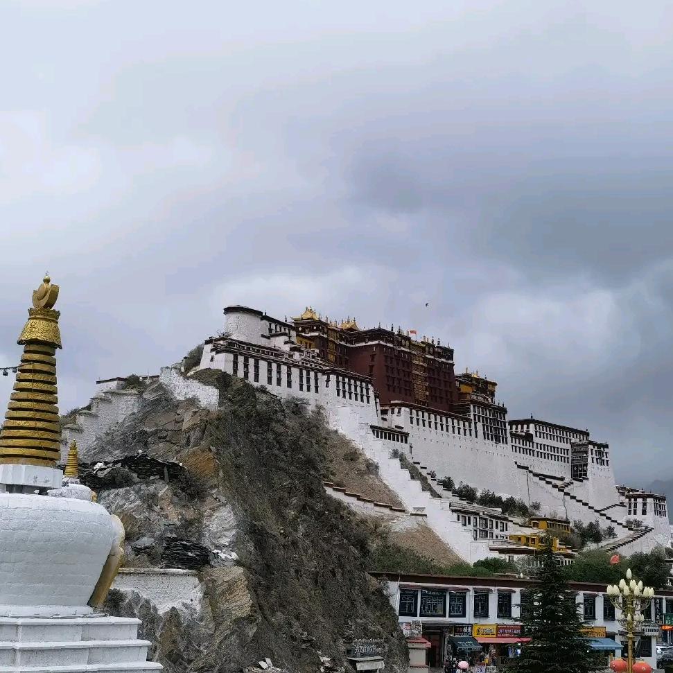 日久见人心，路遥知马力