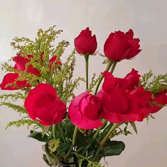 @爱着你🌸