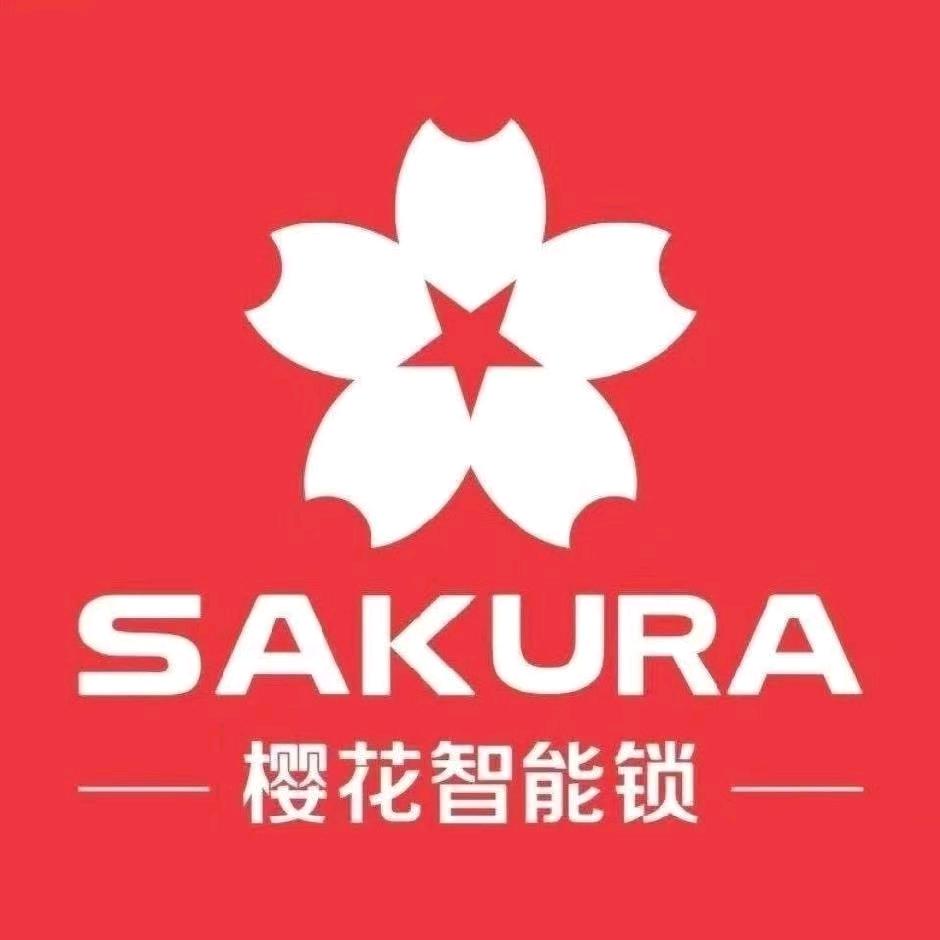 娄底智能锁老刘