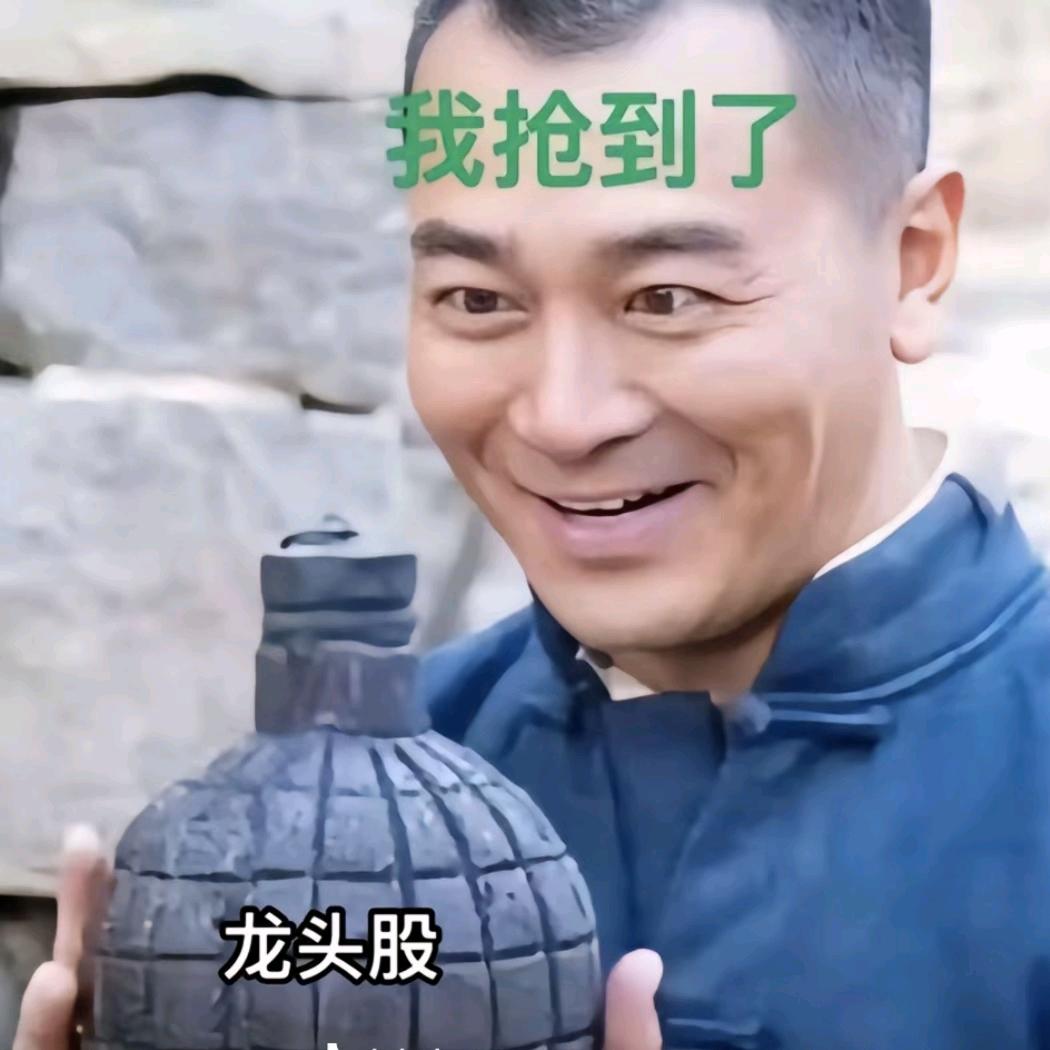 诸葛大力头像