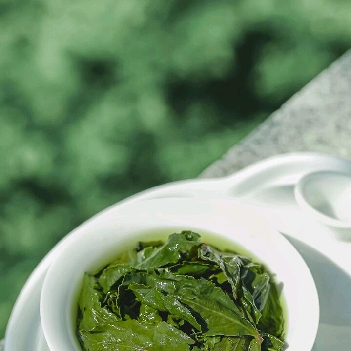 玫瑰黑客