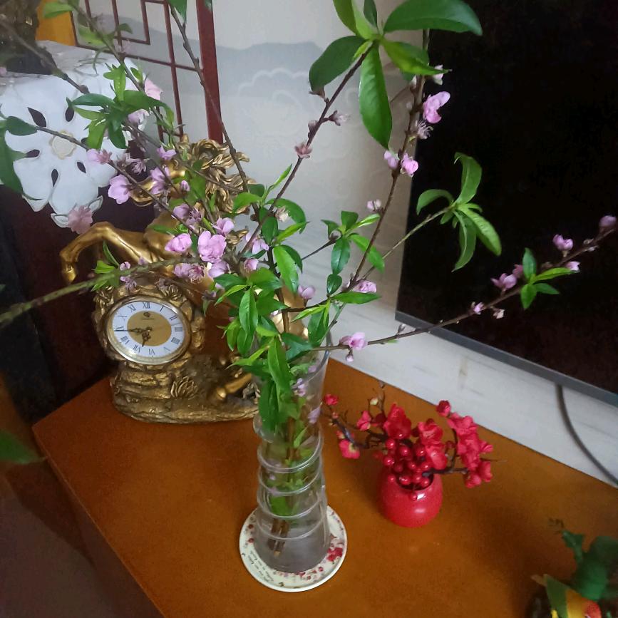 珊瑚姐123