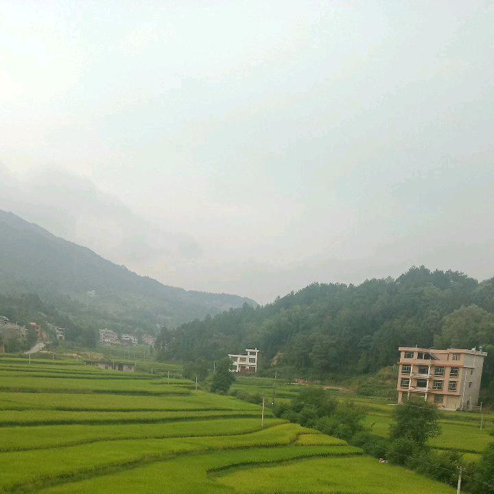 湘之缘