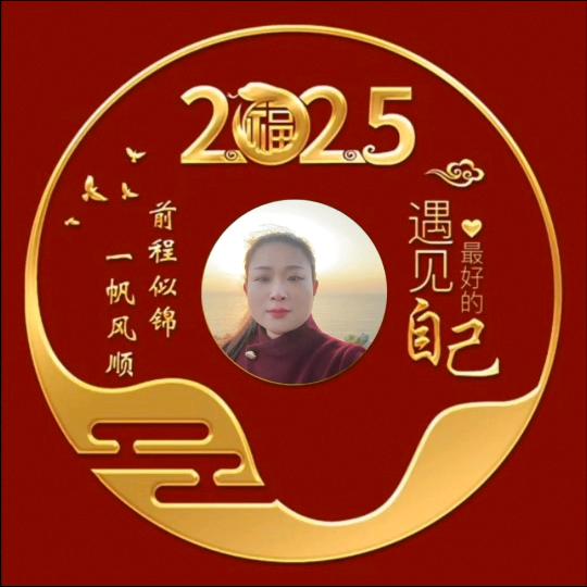 白银蒙娜丽莎瓷砖君姐