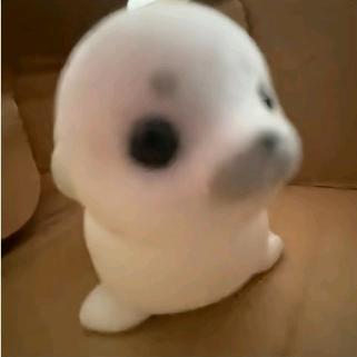 阴湿地理缠上我🐨