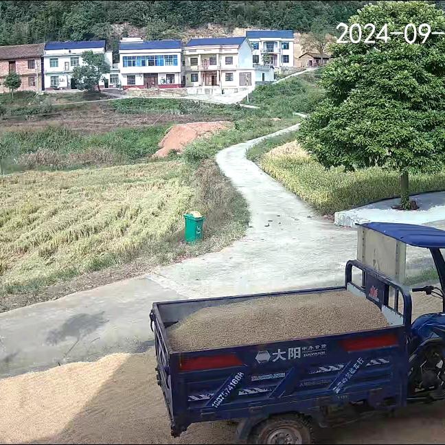 抖老板