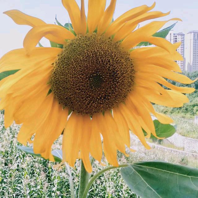 顺其自然吧🍀