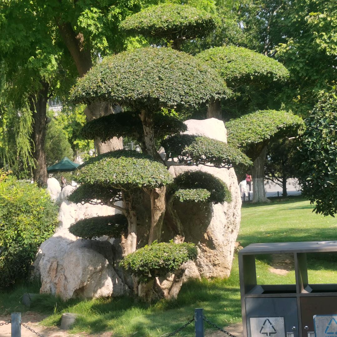 平安是福