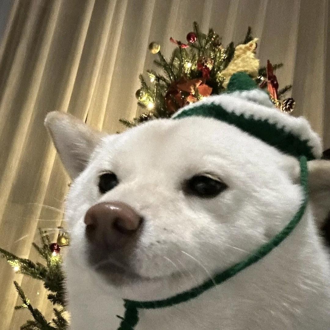 雪糕脑袋