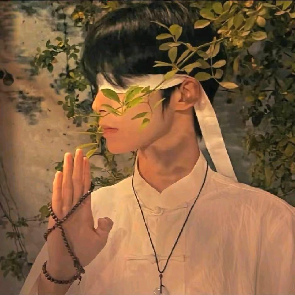 吃苦瓜的懒小羊