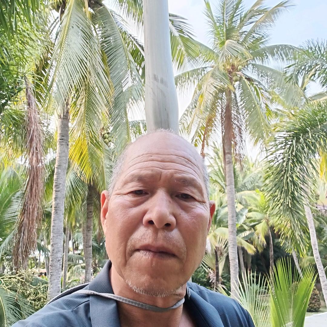 用户2069958156062大槐树