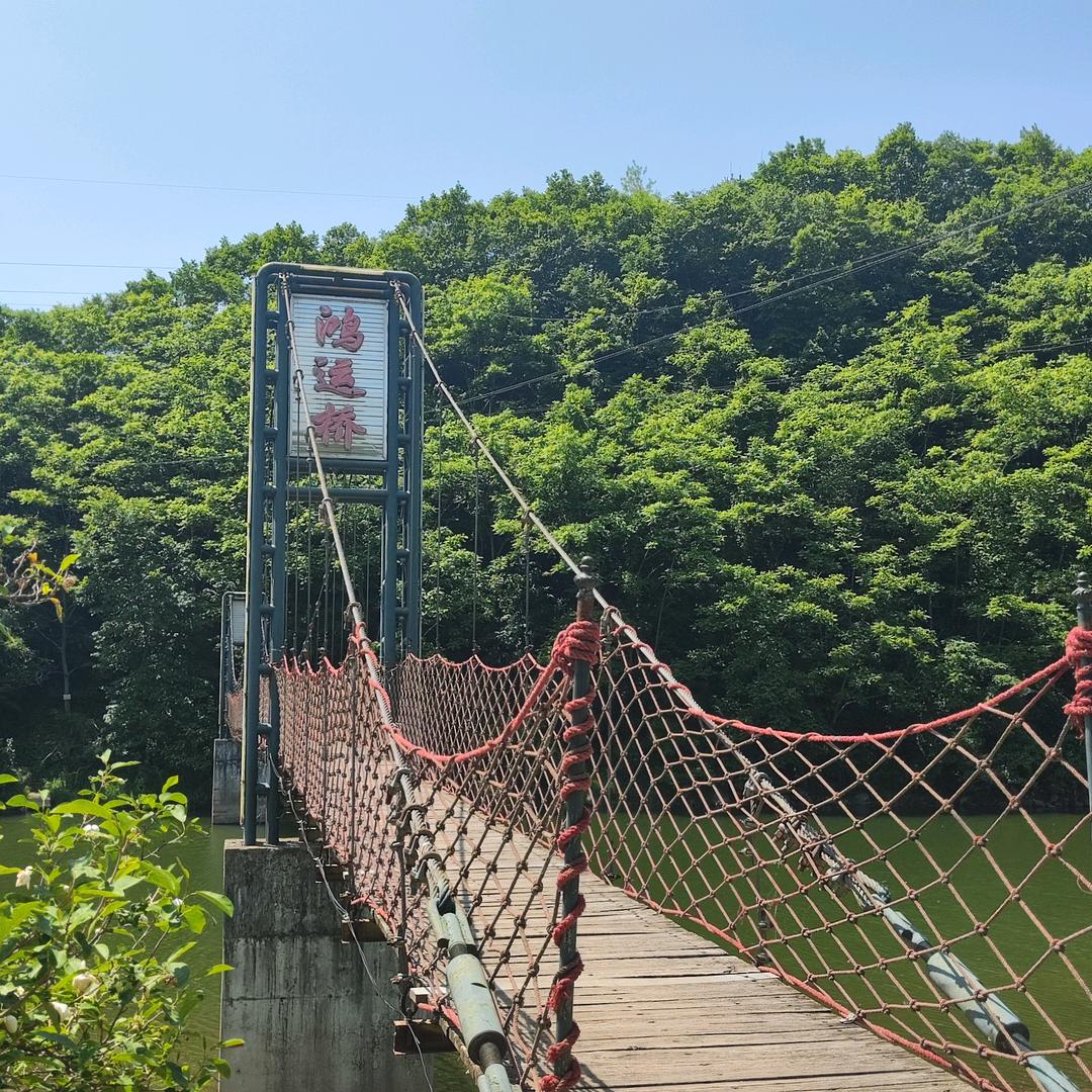 黄椅山火山森林公园直播号