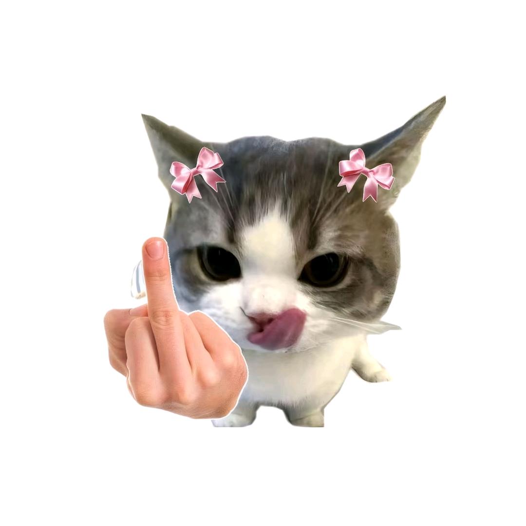 Fddddddd
