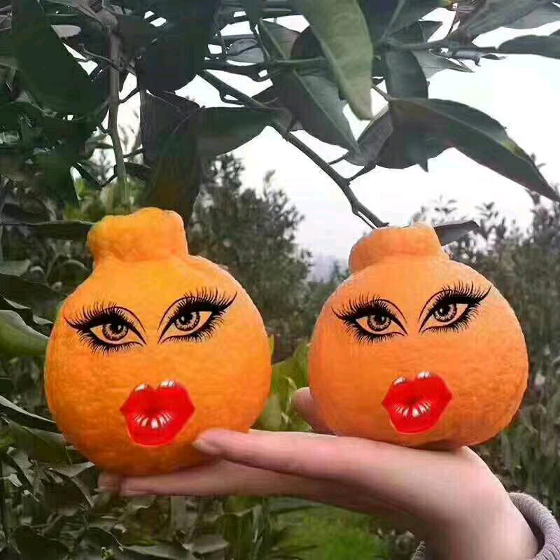 我就是一个打杂滴