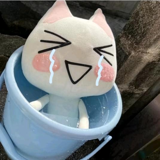 ヽ(=^･ω･^=)