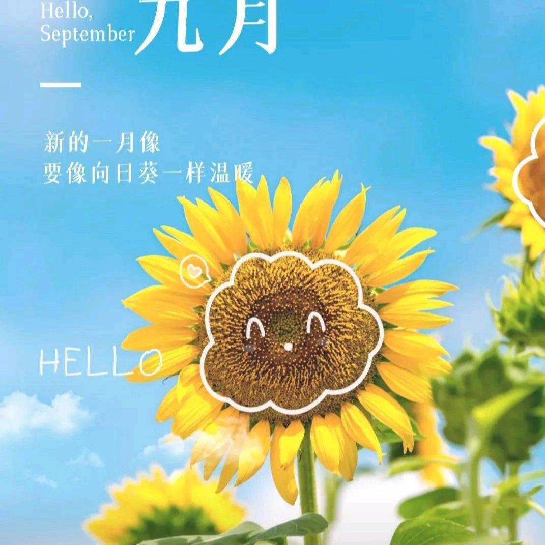 默﹏浅忆δ